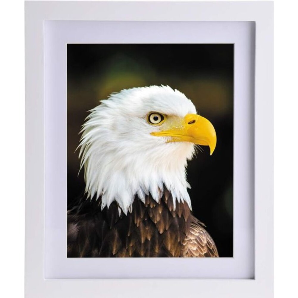 JAYONG Solid Wood Picture Frame 8x10 with Mat 6x8 Wall Hang Stand White